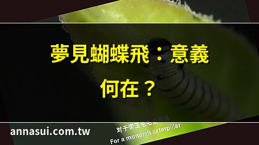 很多蝴蝶