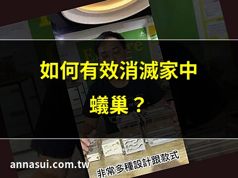蟻巢