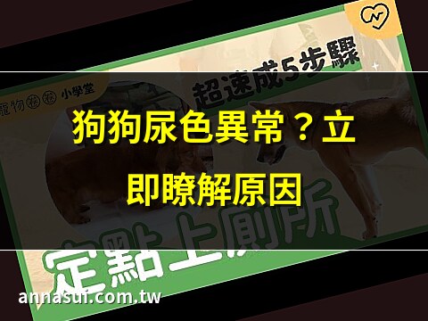 狗 尿 顏色