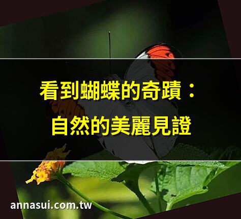 看到蝴蝶的奇蹟：自然的美麗見證 | 蝴蝶的秘密：生命的奇妙旅程 | 蝴蝶的象徵：希望與幸福的使者 | 如何在家中吸引蝴蝶？快速指南