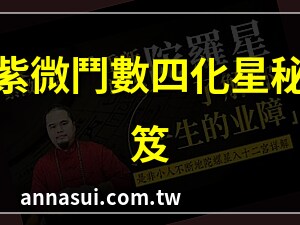 四化星入十二宮詳解