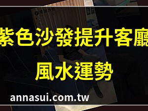 紫色沙發客廳