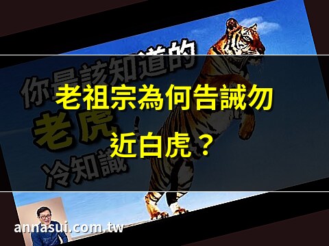 什麼是白虎