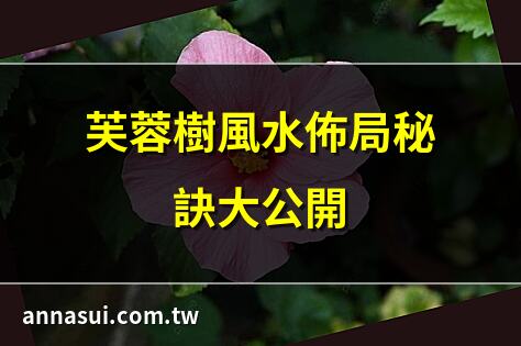 芙蓉樹風水佈局秘訣大公開 | 芙蓉風水寓意詳解與應用 | 如何用芙蓉樹提升居家風水 | 芙蓉樹擺放位置風水指南