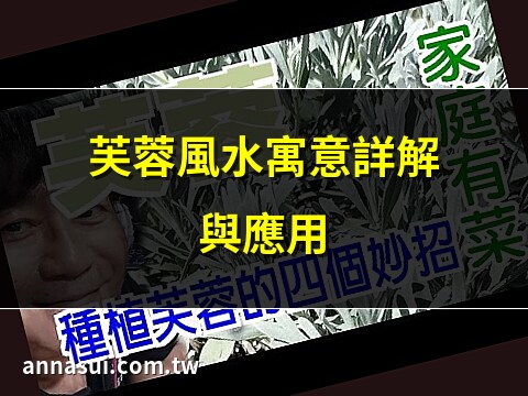 芙蓉樹風水