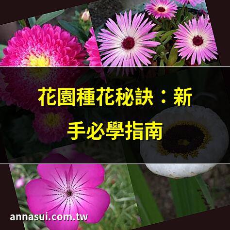 花園種花秘訣：新手必學指南 | 最適花園種植的花卉推薦 | 打造繁花盛放的花園技巧 | 花園種花省心省力大公開