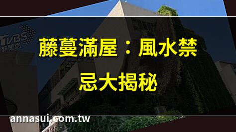 藤蔓滿屋：風水禁忌大揭秘 | 藤蔓滿屋的驚人危害 | 藤蔓纏繞的居家風水 | 藤蔓滿屋：如何有效清理