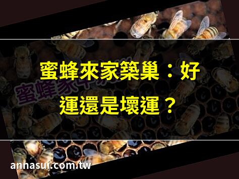 蜜蜂來家築巢：好運還是壞運？ | 家中蜂巢風水大揭秘！ | 蜜蜂築巢：吉兆還是凶兆？ | 蜂巢驚現家中？別慌！