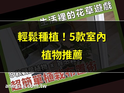 適合家裡種的植物