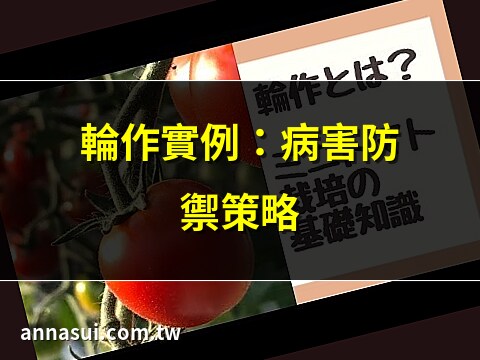 輪作 例