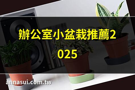 辦公室小盆栽推薦2025 | 辦公桌植物：輕鬆打造城市叢林 | 5款辦公室風水植物推薦 | 辦公室小盆栽：提升工作效率