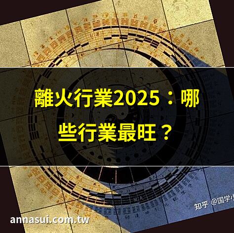 離火行業2025：哪些行業最旺？ | 九紫離火運：未來行業趨勢 | 2025離火行業投資指南 | 離火九運：行業風口預測