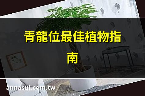 青龍位最佳植物指南 | 青龍位放啥植物旺財？ | 青龍位植物擺放全攻略 | 青龍位風水植物推薦