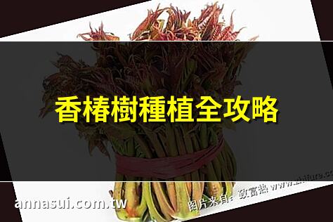 香椿樹種植全攻略 | 香椿樹人工種植技巧 | 香椿高產種植方法 | 香椿種植技術解析