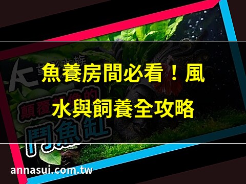 魚養在房間