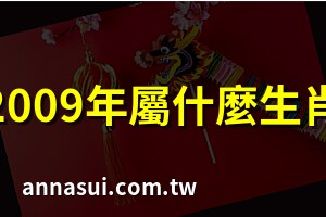 2009 生肖